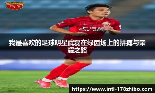 我最喜欢的足球明星武磊在绿茵场上的拼搏与荣耀之路